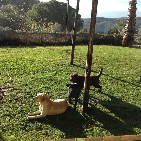 Holiday home Tenuta Lacco *